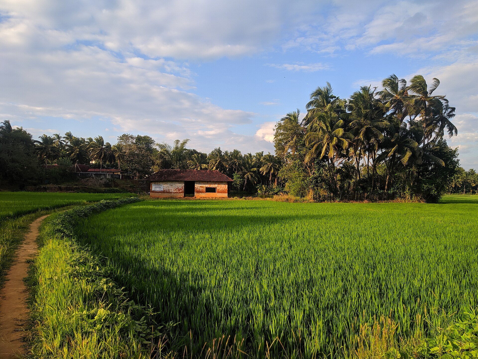 Ottapalam Village